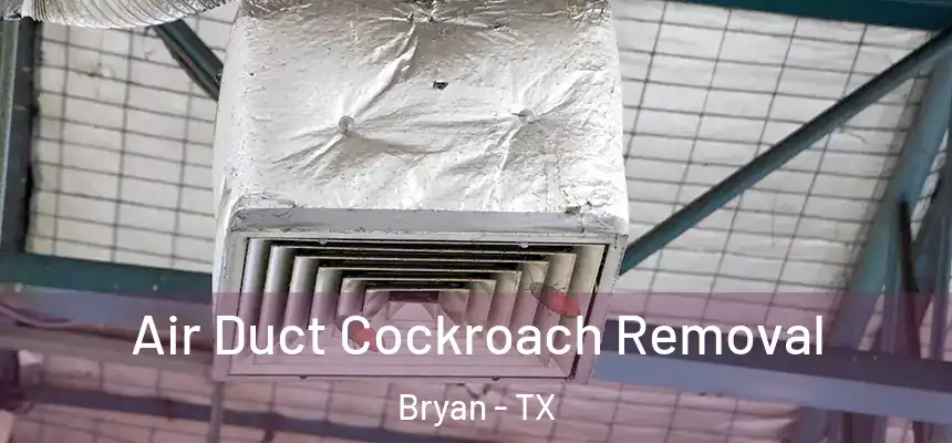 Air Duct Cockroach Removal Bryan - TX