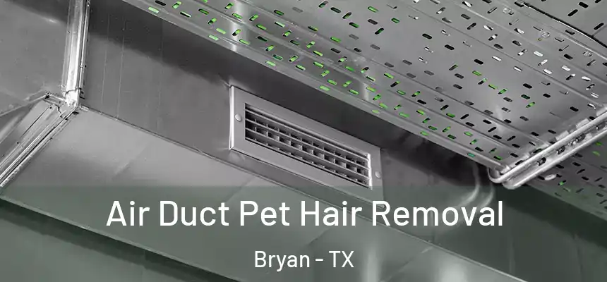 Air Duct Pet Hair Removal Bryan - TX
