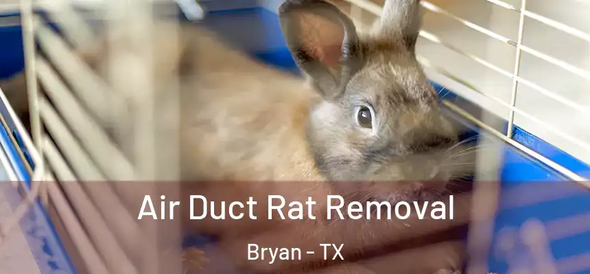Air Duct Rat Removal Bryan - TX