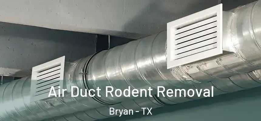  Air Duct Rodent Removal Bryan - TX