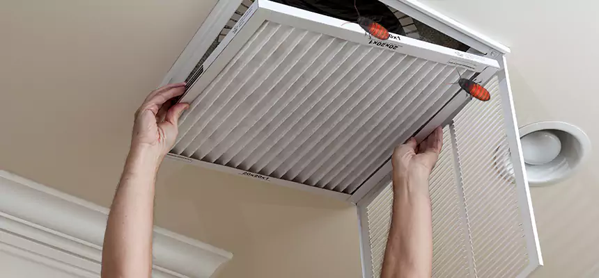 Preventive Cockroach-Proofing for Ducts in Bryan