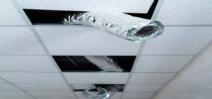 Our Air Duct Pet Hair Removal Services in Bryan, TX