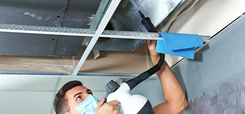Our Air Duct Rodent Removal Services in Bryan, TX