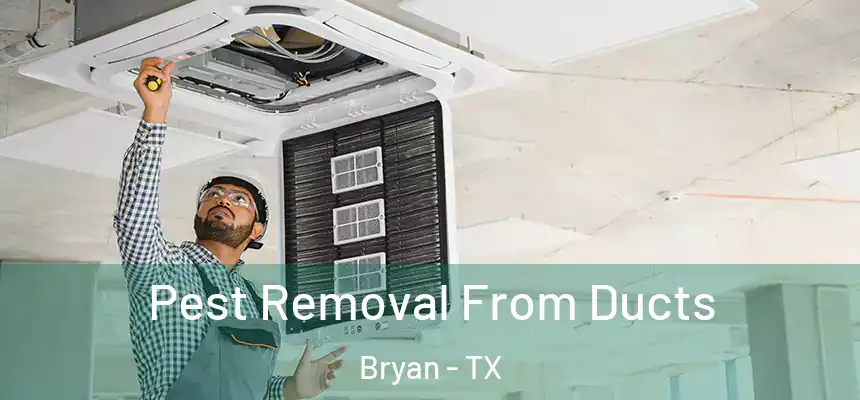 Pest Removal From Ducts Bryan - TX