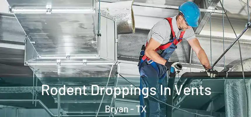Rodent Droppings In Vents Bryan - TX