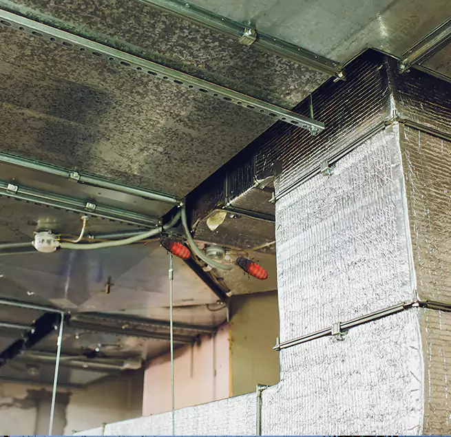 Why Homeowners & Businesses Trust Us in Bryan, TX?