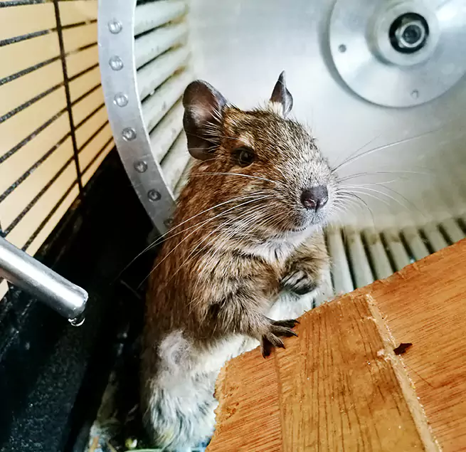 Why Homeowners & Businesses Trust Us Bryan, TX?