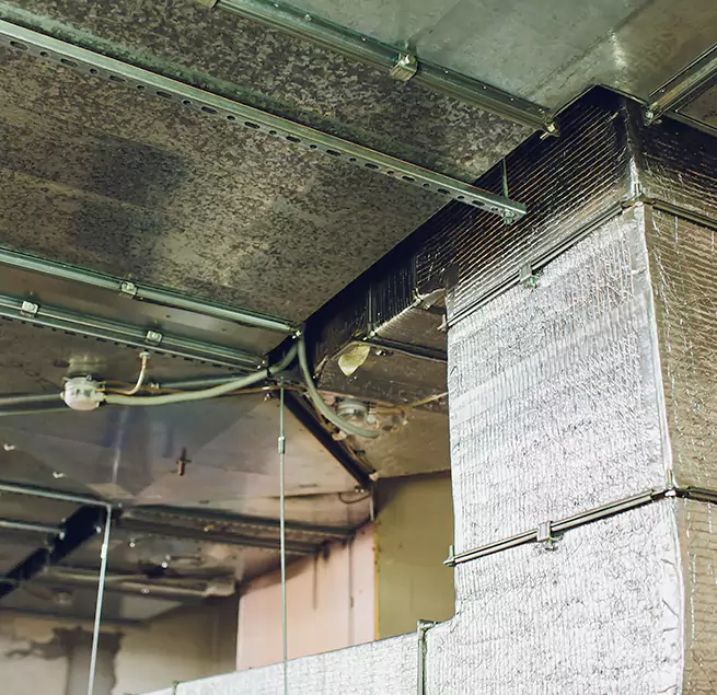 Why Homeowners & Businesses Trust Us in Bryan, TX?